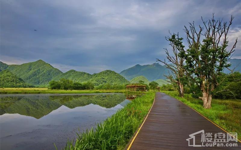 北靠龍珠湖,南抵天月湖度假區豪宅價值,顯於外而蘊於內地段優勢之上