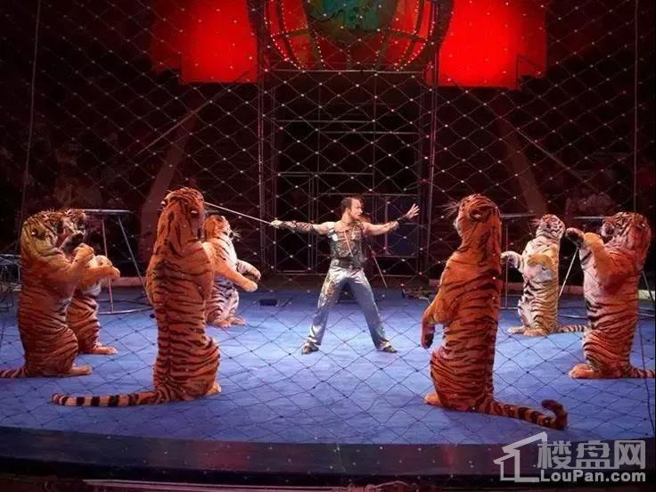 南雄碧桂园疯狂马戏团即将空降,就问你来不来?