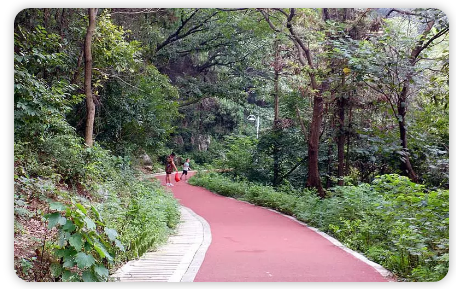 湖北襄阳岘山绿道图片