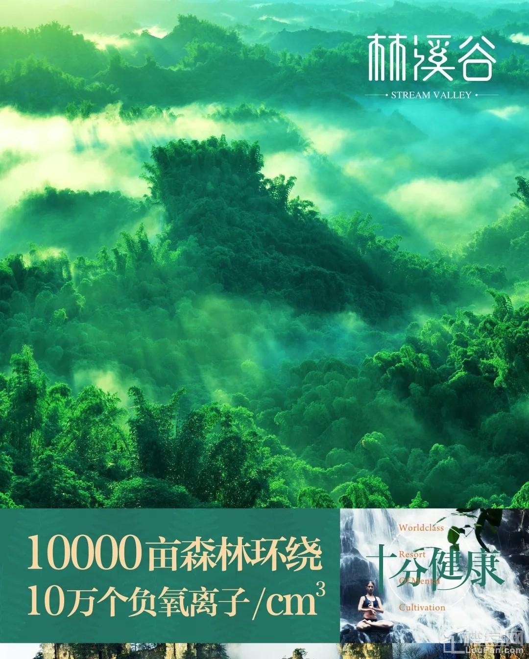 十分健康10000亩森林环绕10万个负氧离子/cm