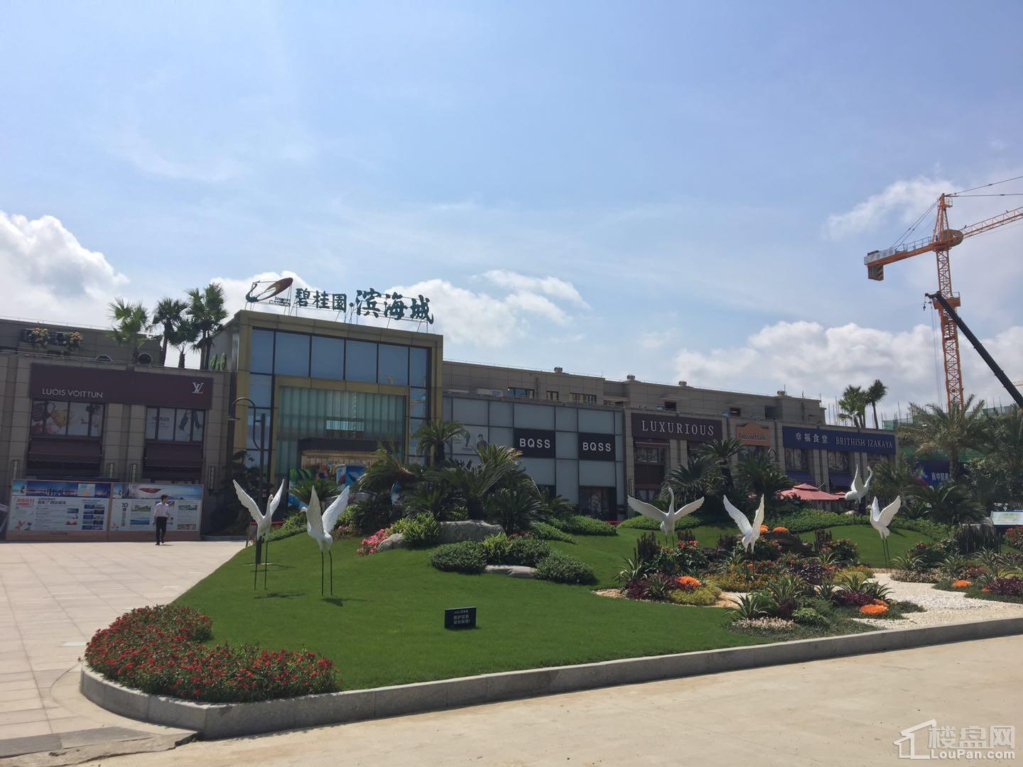 看房日记第十一期——碧桂园·滨海城