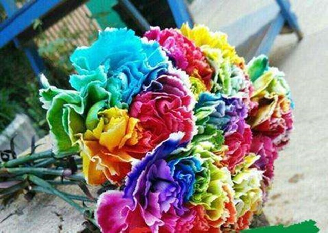 除了现场diy和抽奖,到场即送七彩康乃馨一枝,为母亲送上浓浓爱意.