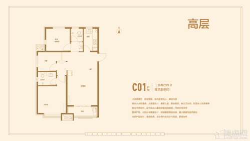 C01户型