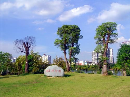 南寧市相思湖公園(圖片來自網絡)