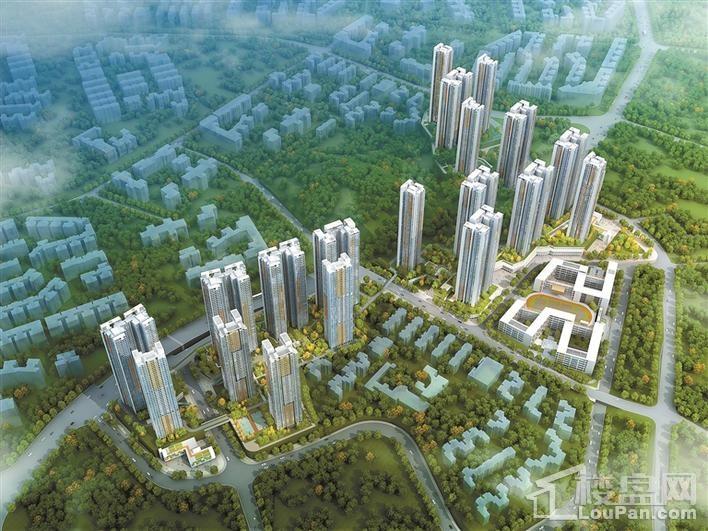 深圳罗湖棚改已形成可借鉴可复制可推广经验