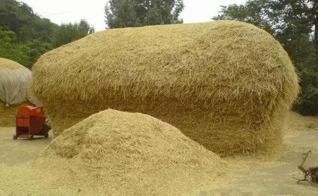 手拽的生疼生疼哩,也只拽出来一小把儿