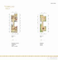 信和信原乡墅P4户型二层、三层