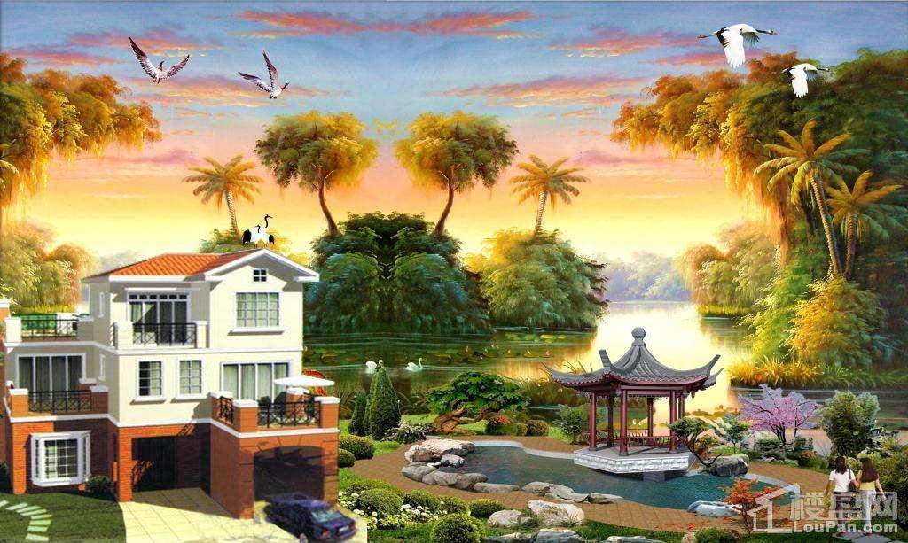 津园梦想中的家园