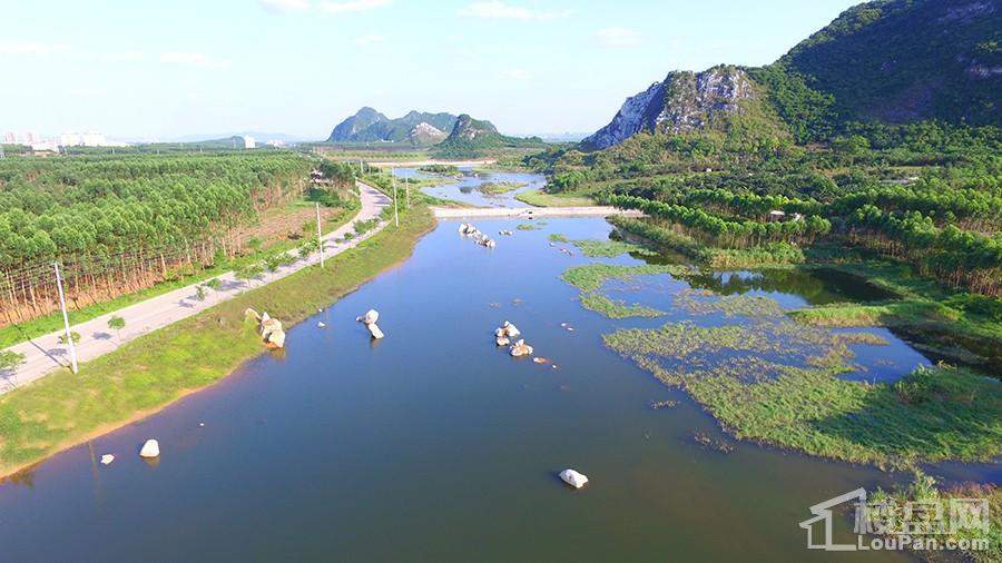 里建湖湿地公园