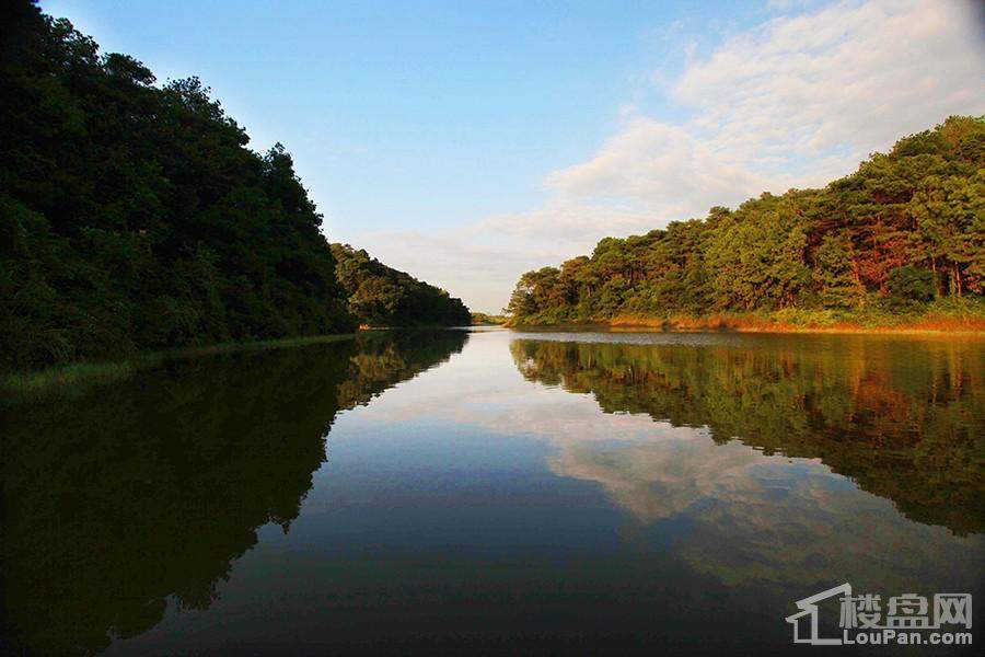 那油水库风光