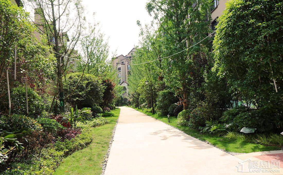 这次是高层:隆鑫·橄榄郡再一次的精品呈现