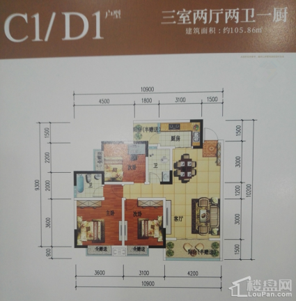 C1D1户型