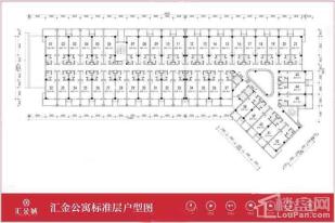 D栋公寓户型图