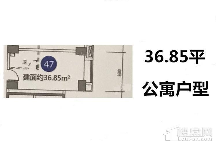 36.85户型