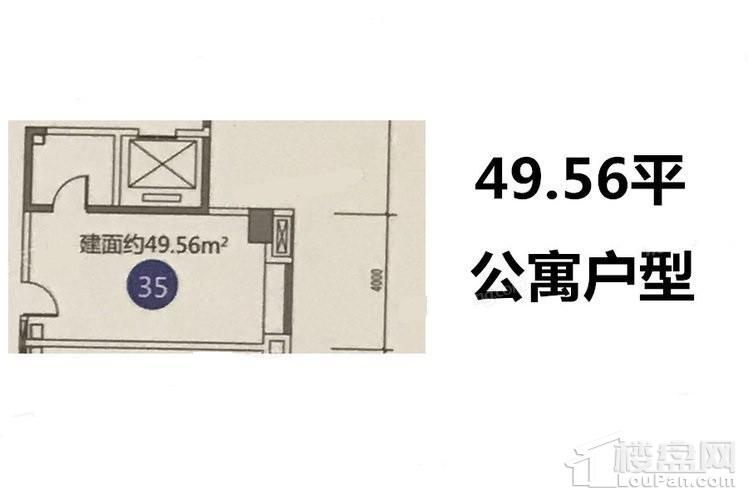 49.56平户型