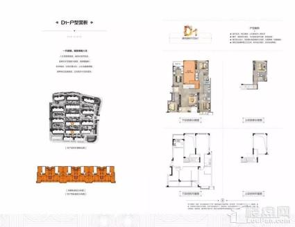 8#/9#栋D1户型