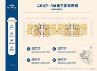 A6栋2-3单元9层平面图（上）