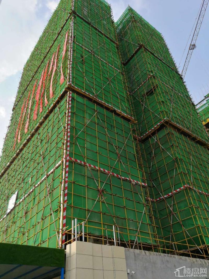 鸿涛名邸8月工程实景