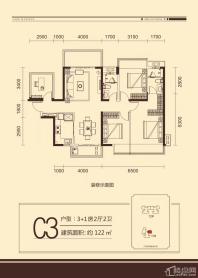 龙光玖誉湖C3户型图