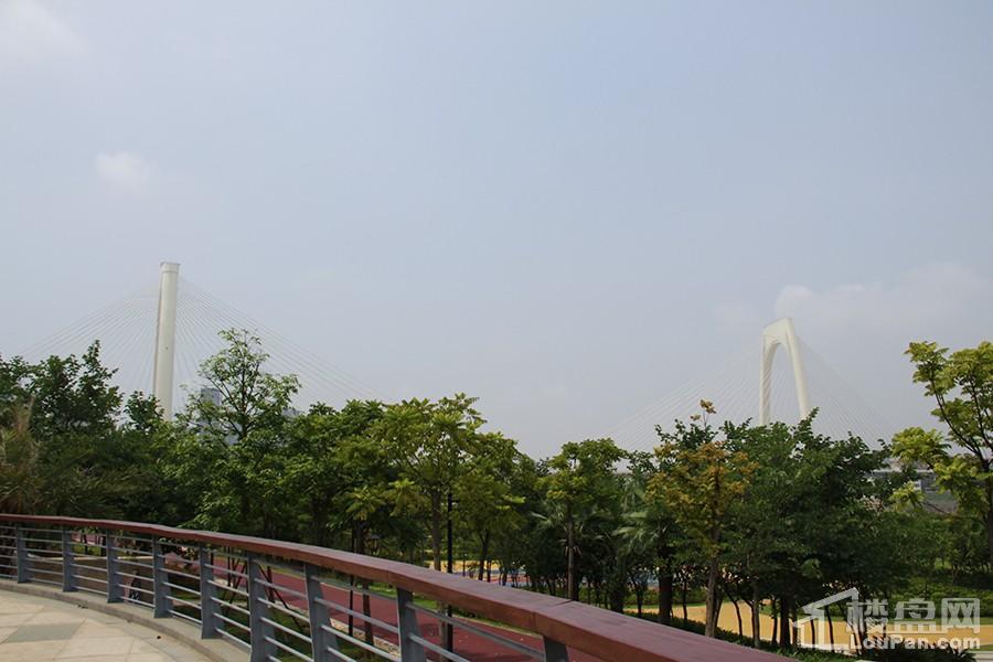 滨江公园