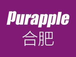上海紫苹果装饰工程安徽有限公司