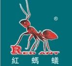红蚂蚁装饰