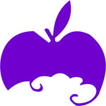 贵州紫苹果装饰工程有限公司安顺分公司
