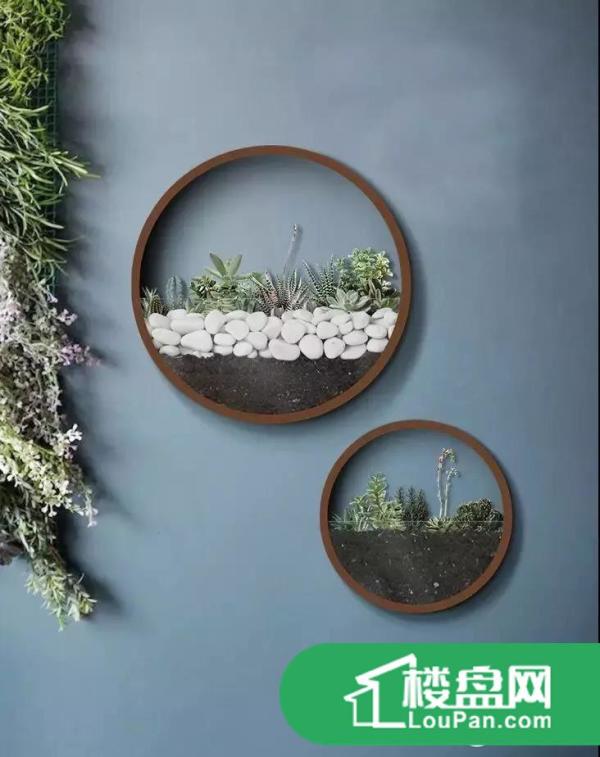 墙面装饰植物上墙设计图